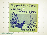 Support Boy Scouts Camping on Apple Day